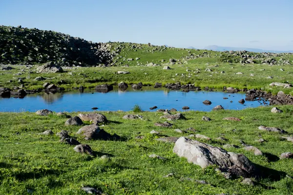 Ορεινή λίμνη σε πράσινο φόντο φυσικά σε Artvin — Φωτογραφία Αρχείου