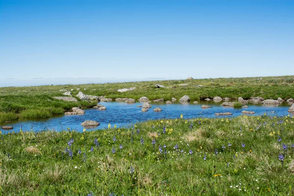 Highland sjö i grön naturliga bakgrund i Artvin — Stockfoto