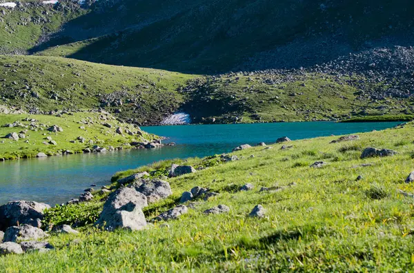 アルトビンの緑の自然な背景の高原の湖 — ストック写真