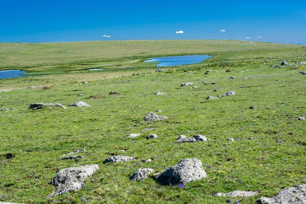 Highland lake in groene natuurlijke achtergrond in Artvin — Stockfoto