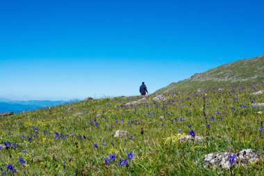 Genç adam bir gezi alarak 