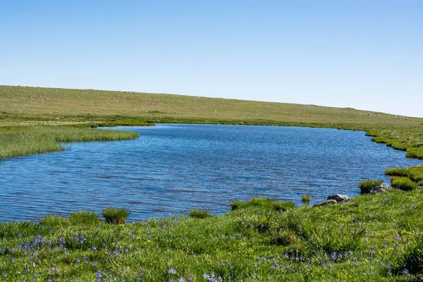 Highland jezioro w zielone tło naturalne w Artvin — Zdjęcie stockowe