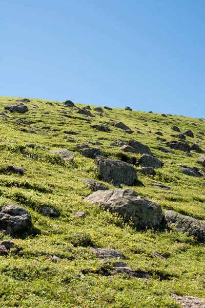 Pastagem verde nas montanhas durante a temporada de verão — Fotografia de Stock