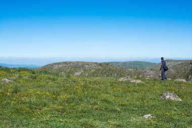 Genç adam bir gezi alarak 