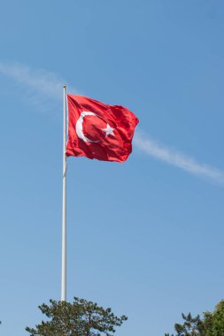Türk ulusal bayrağı 