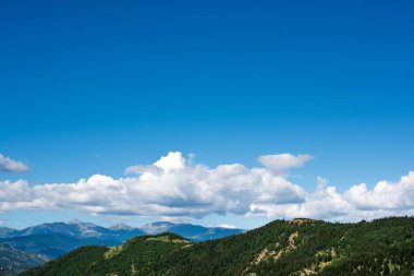  Artvin highlan görünümünden doğal manzara ormanlık Dağları