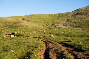 Artvin Kuzey Doğu Türkiye'de dağların tepelerinde
