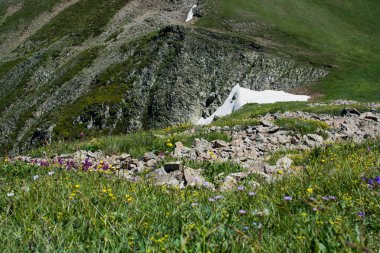 Buzul Artvin dağlık ile güzel manzara