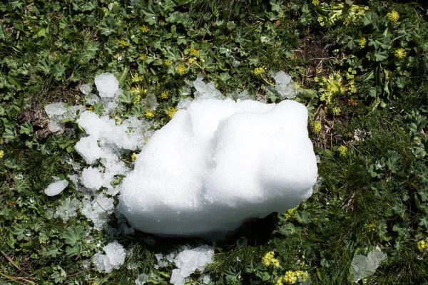 Невелика кількість снігу на фоні зеленої трави — стокове фото
