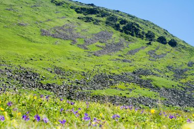 Artvin Kuzey Doğu Türkiye'de dağların tepelerinde