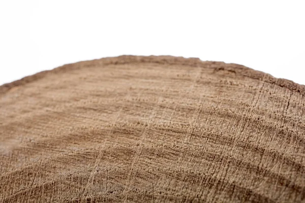 Wood Log cut in round thin pieces on white background — Stock Photo, Image