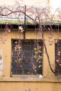 Eski cam mimari kalıntıları Istanbul'dan