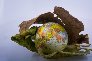 Küçük model küre iki büyük sonbahar yaprakları arasında yer