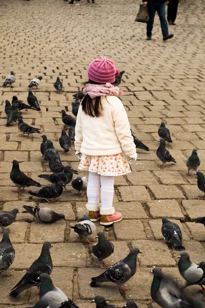 stock image Little girl amid grey pigeons live in large groups in urban environment