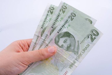 20 Turksh Lirası banknot elinde tutan el
