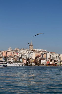 Istanbul'da deniz üzerinde gökyüzünde güvercinler uçmak