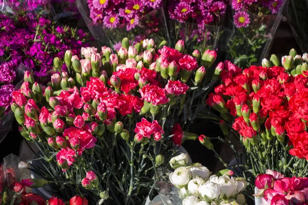 Belas flores como um fundo — Fotografia de Stock