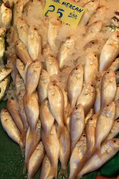 Fresco para la venta en el mercado de pescado —  Fotos de Stock