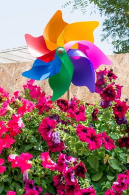 pasta's, tomaten, kaas en paddestoelen zijn geïsoleerd op een witte achtergrond