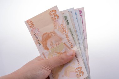 Turksh Lirası banknot elinde tutan el