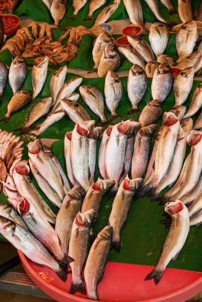 Świeże na sprzedaż rynku ryb — Zdjęcie stockowe