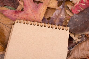 düşen sonbahar yaprakları ile boş Not defterini açın 
