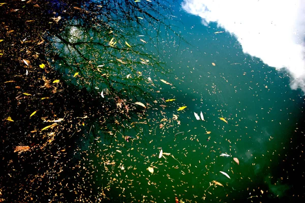 Textura de fondo de la temporada de otoño con sus elementos — Foto de Stock