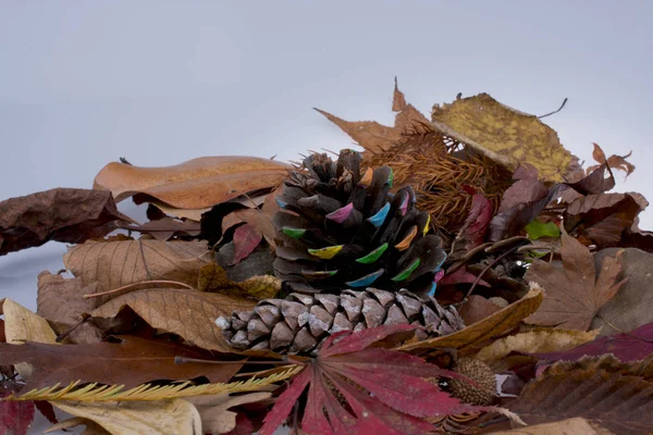 Cono de pino pintado sobre un fondo cubierto de hojas secas — Foto de Stock