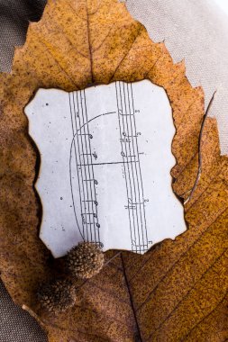 Bir kuru yaprak kağıt ile makro görünümü autu müzik notaları ile