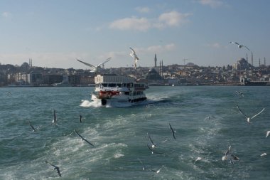 Istanbul'da deniz üzerinde gökyüzünde güvercinler uçmak