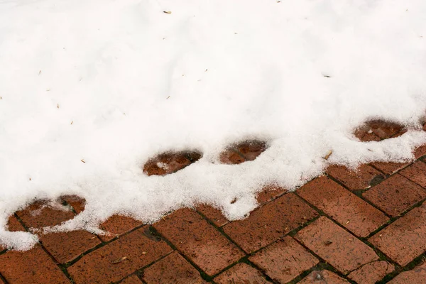 Snow Zima na tle w kolorze białym — Zdjęcie stockowe