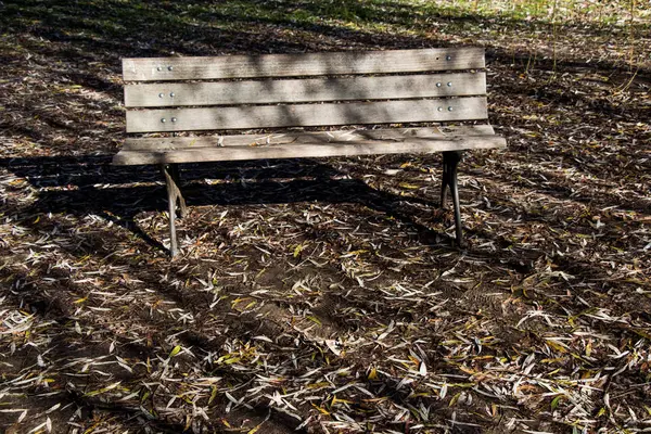 Banco del parque de madera en un parque —  Fotos de Stock