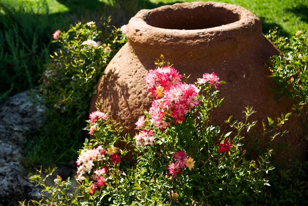 Rosas de color rosa al lado de una gran cerámica — Foto de Stock