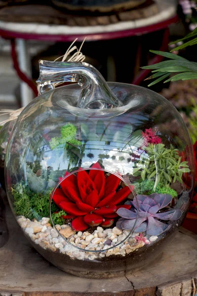 Cam saksıyı güzel sahte çiçek ile — Stok fotoğraf