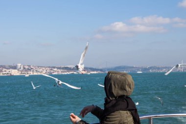 Deniz sular gökte uçan martılar