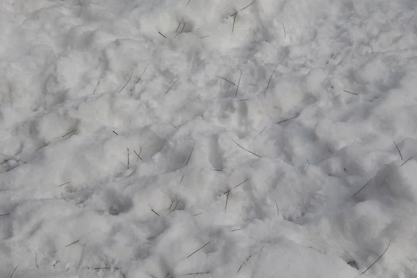 Snö vinter bakgrund i vit färg — Stockfoto