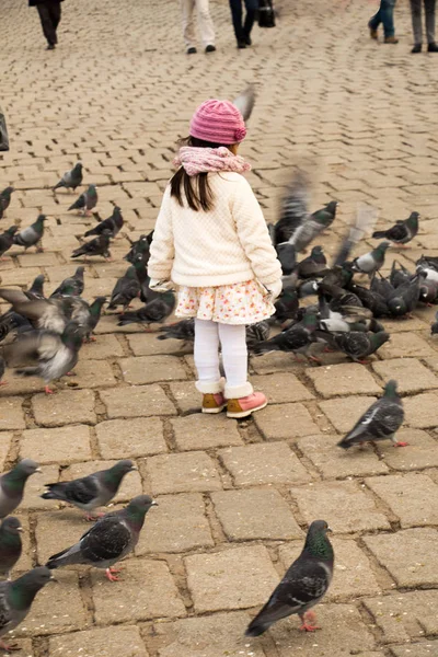 Little girl amid grey pigeons live in large groups in urban — Stock Photo, Image