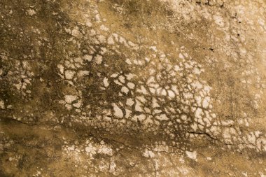  Arka plan doku desen olarak duvar yüzeyi