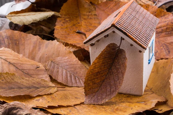 Pequeña casa modelo lugares en un otoño hojas — Foto de Stock