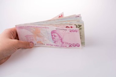 Turksh Lirası banknot elinde tutan el