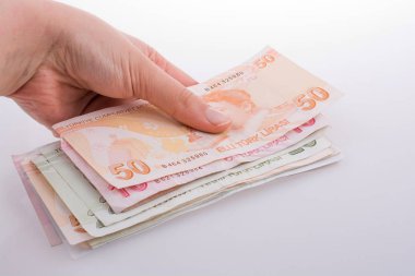 Turksh Lirası banknot elinde tutan el