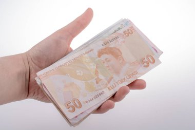 Turksh Lirası banknot elinde tutan el