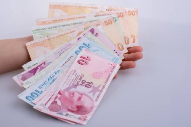 Turksh Lirası banknot elinde tutan el