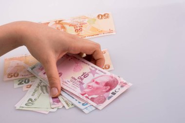 Turksh Lirası banknot elinde tutan el