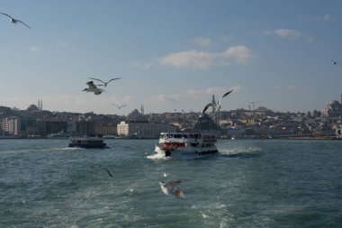 Istanbul'da deniz üzerinde gökyüzünde güvercinler uçmak