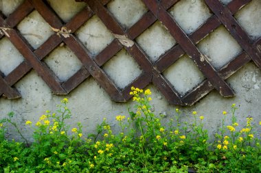 pasta's, tomaten, kaas en paddestoelen zijn geïsoleerd op een witte achtergrond
