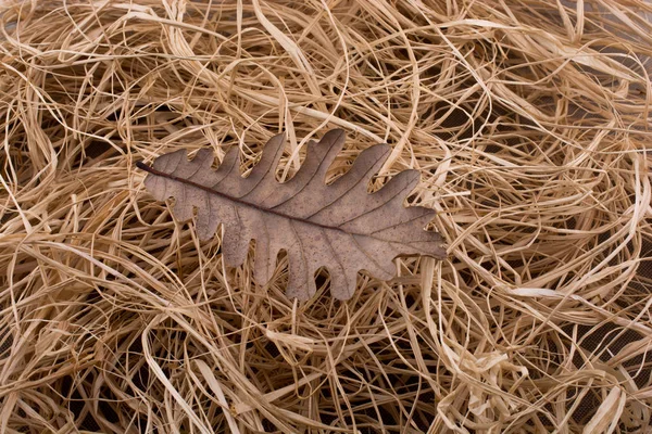 Hoja seca como un otoño sobre un fondo de paja — Foto de Stock
