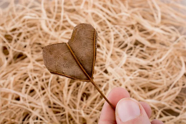 하트 모양 배경 밀 짚의 전체에 손으로 잎을 잘라 — 스톡 사진