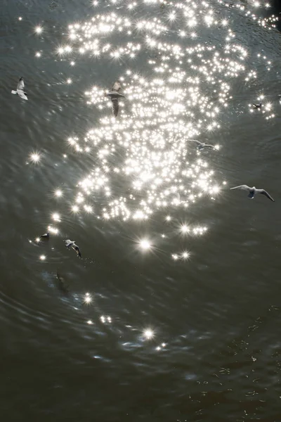 Water textuur nuttig als achtergrond — Stockfoto