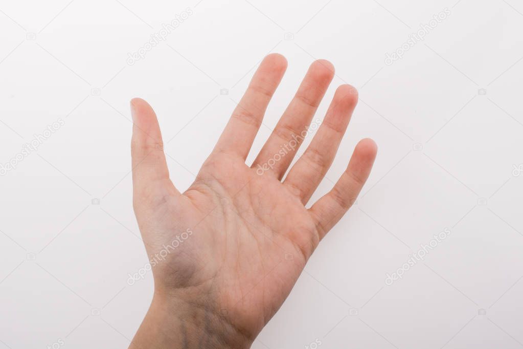Human hand on a white background